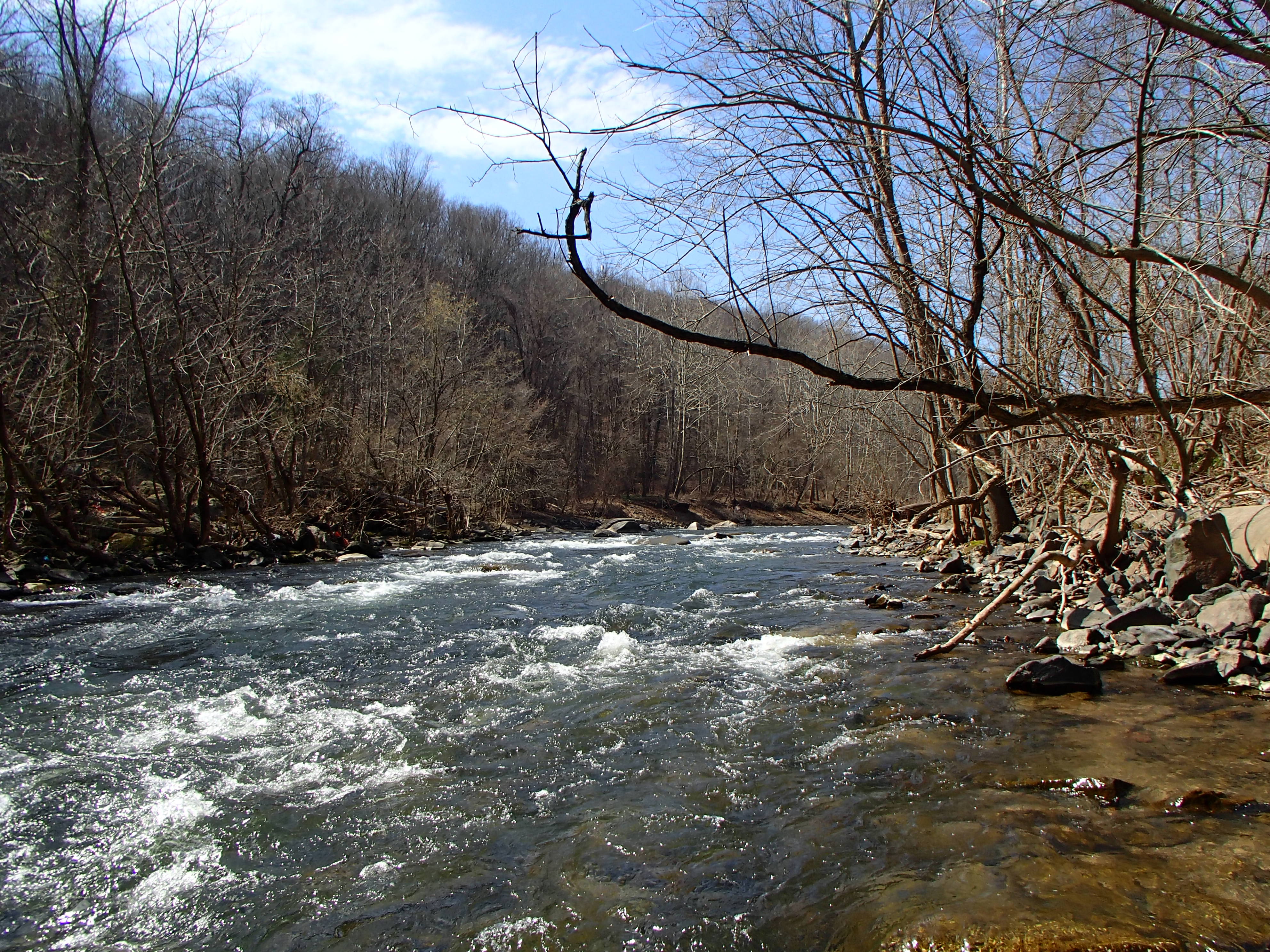 Field photo showing stream conditions at site PATL-502-X-2016_midpoint looking upstream